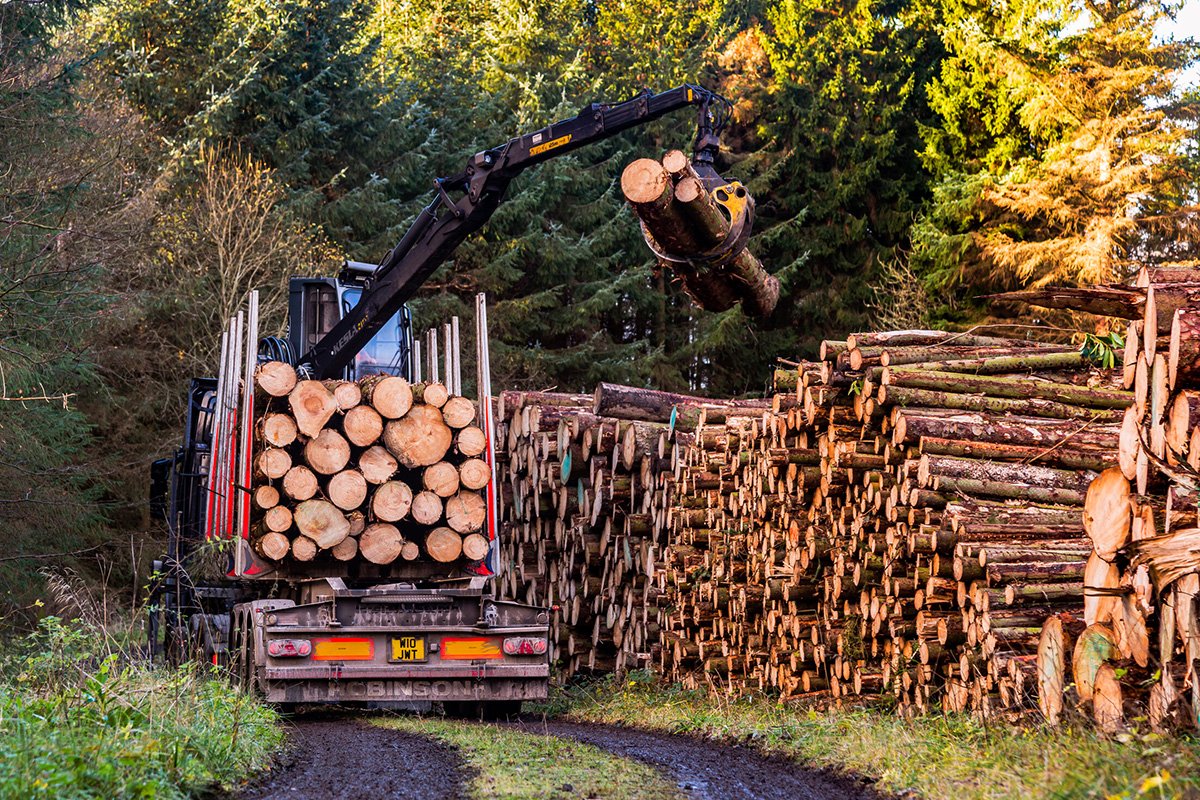 Forestry Applications