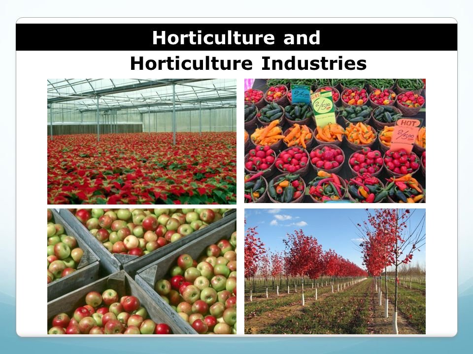 Landscaping Products